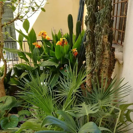 Residenza Bagolino Apartment Alcamo